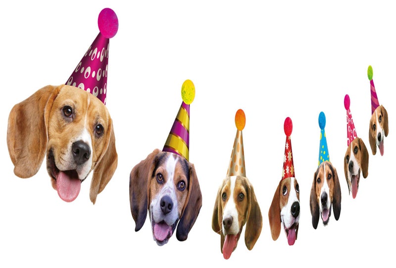 Silvima Beagle Birthday Garland, Funny Beagle Face Portrait Happy Birthday Banner, Dog Bday Party Supplies - Image 1